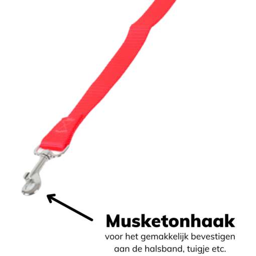 autogordel voor honden blauw
