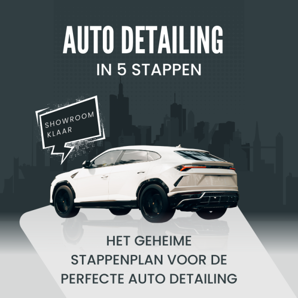 Auto Detailing in 5 Stappen E-Book